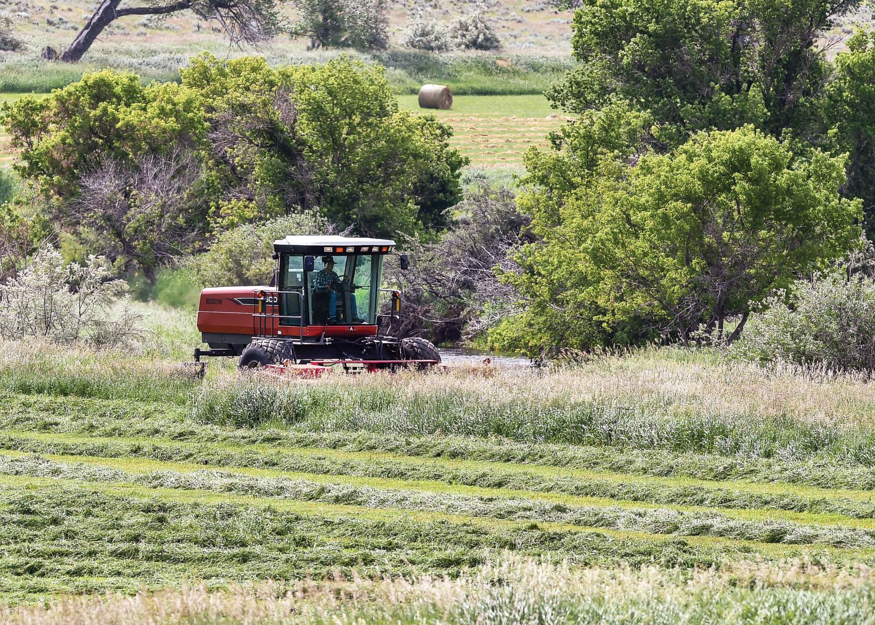 First cutting of hay delayed
